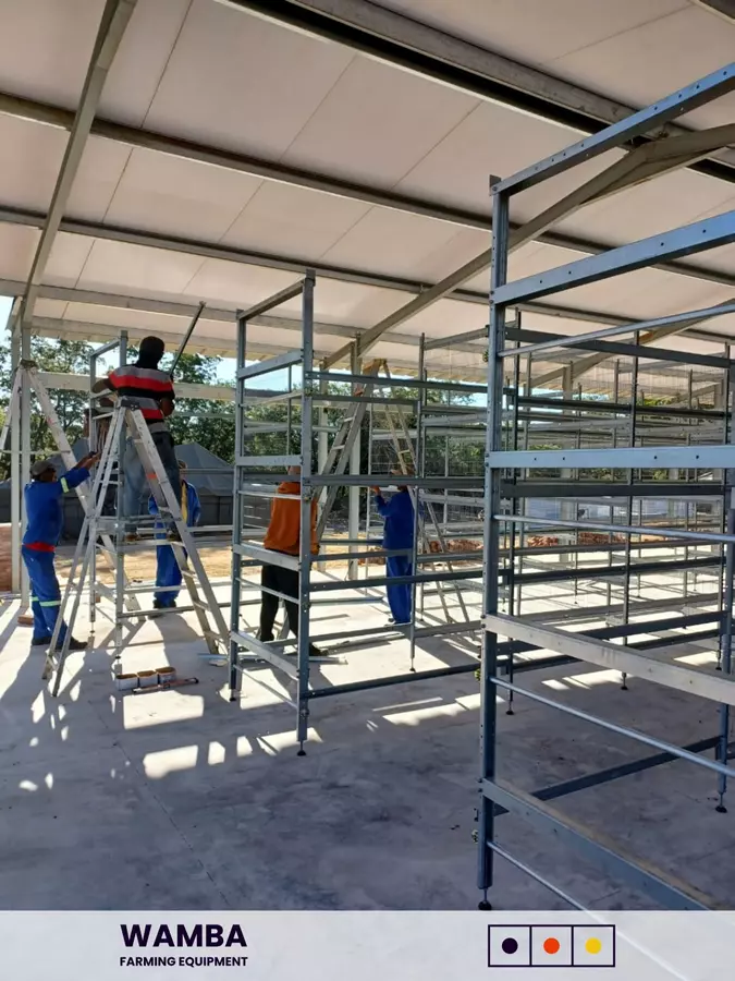 Workers assembling cage frames.