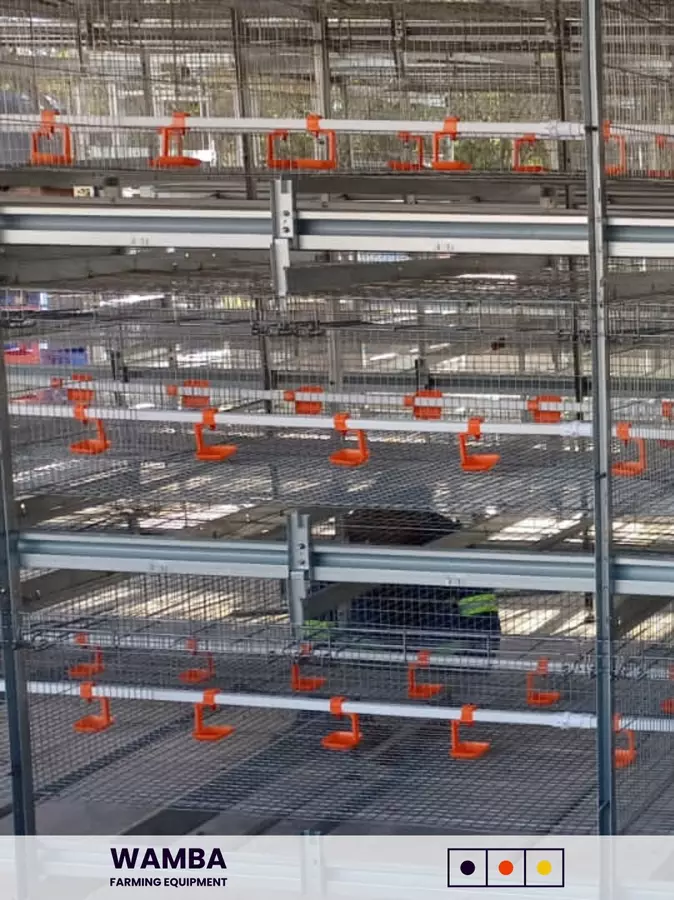 Cage section with drinking cups.