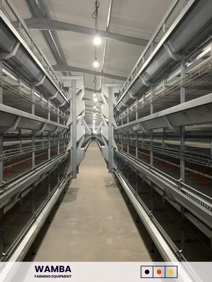 Overview of horizontal and vertical feed delivery components.