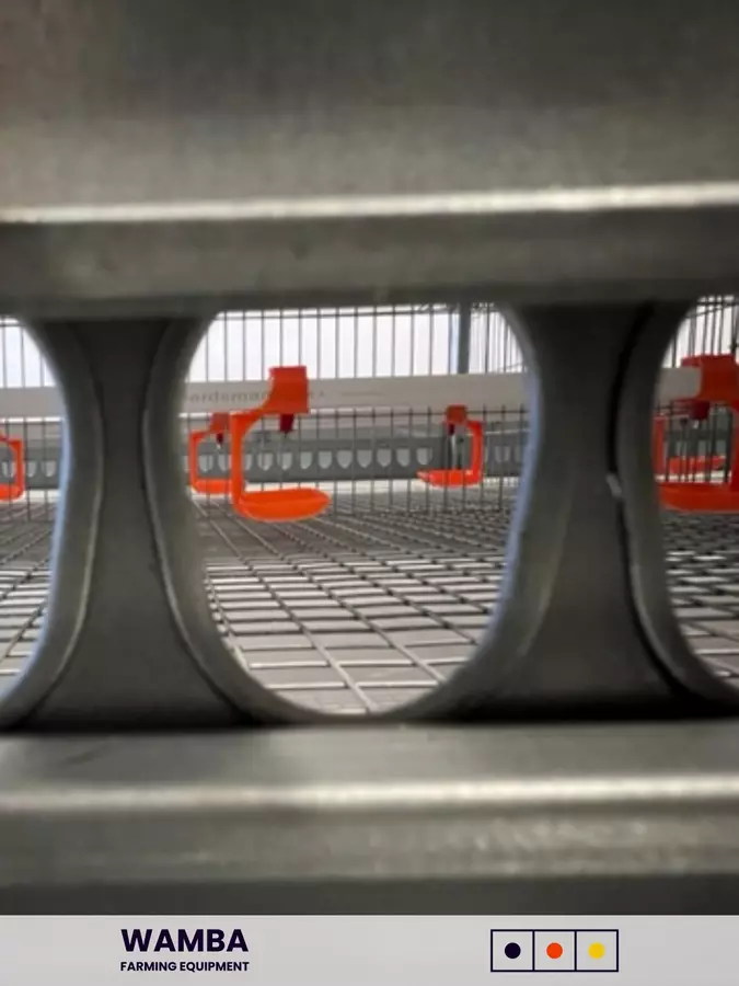 Clode-up of drinking cups in completed cage assembly.